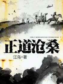 正道沧桑