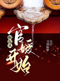 官场突围