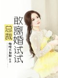 总裁敢离婚试试