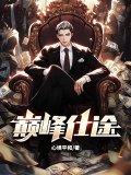 巅峰仕途