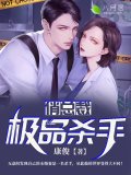 极品杀手俏总裁
