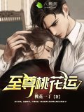 至尊桃花运